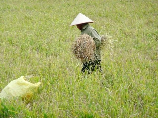 Urlaub in Vietnam 2007